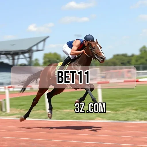 bet11: Descubra Como o Contato Potencializa Seu Jogo!